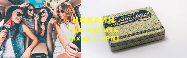 ешки Алзамай
