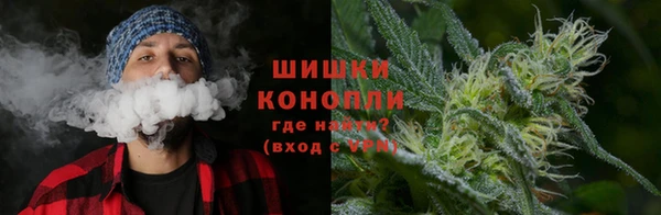 ешки Алзамай