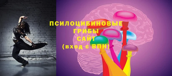 ешки Алзамай