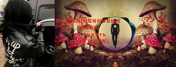 ешки Алзамай