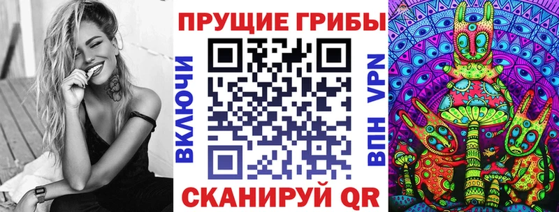 дарнет шоп  Болхов  Галлюциногенные грибы Psilocybe 